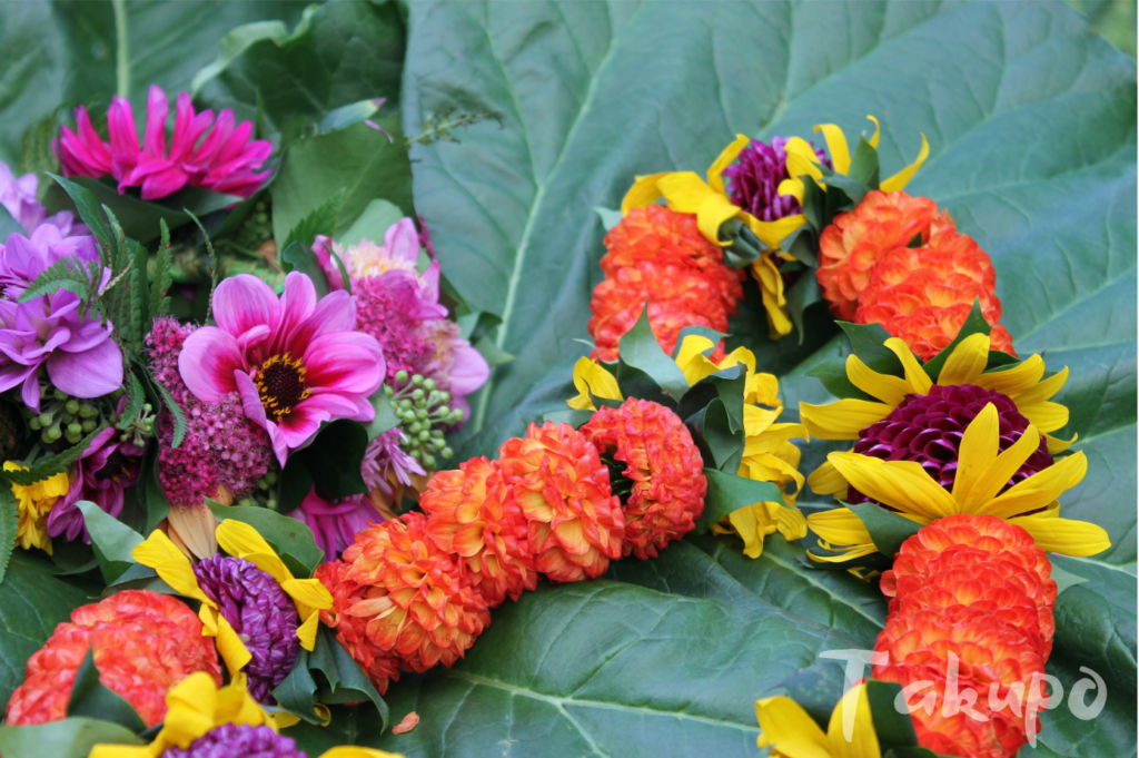 Lei und Haku auf Rhabarberblatt im Garten